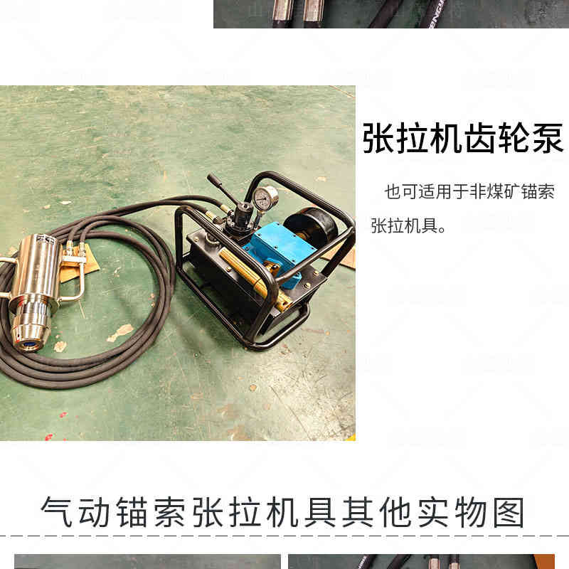 張拉機(jī)具(ju)齒輪泵圖片