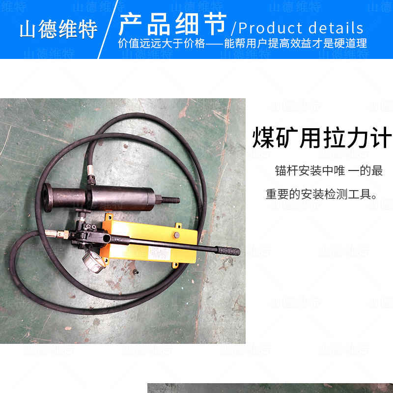 煤礦用(yong)拉力(li)計(ji)