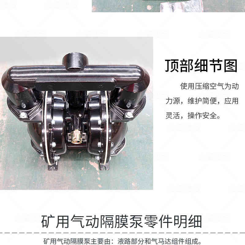 BQG450氣(qi)動(dòng)隔膜泵